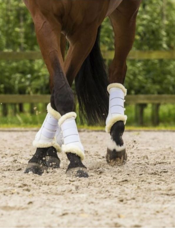 Pack of 2 white dressage boots with fleece for horse - Lami-Cell