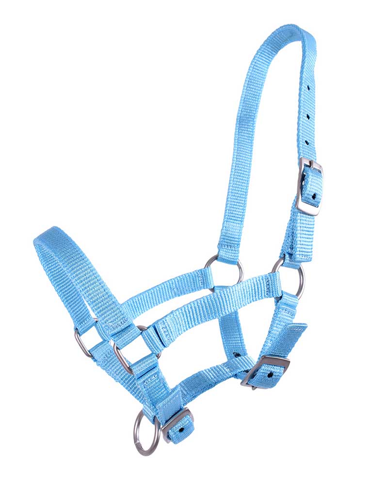 QHP Light Blue Foal Halter – Adjustable