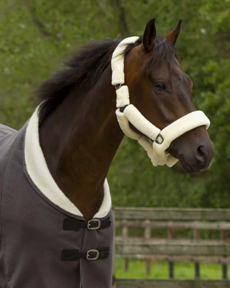 Licol d'écurie gris doublé entièrement de mouton beige pour poney - QHP