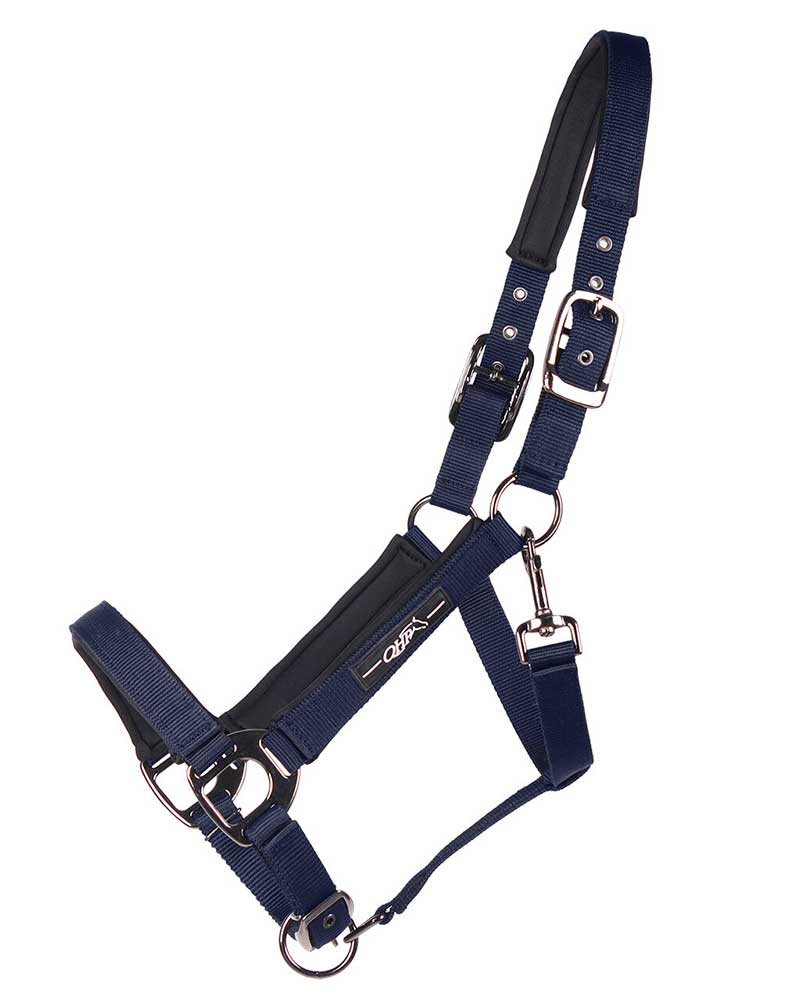 Licol d'écurie bleu marine pour cheval et poney - QHP