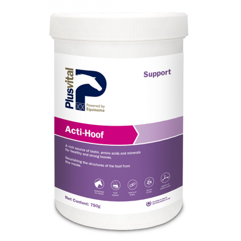 Suplemento en polvo para caballos con a cascos débiles y quebradizos con biotina, cobre, zinc y más Acti Hoof - Plusvital