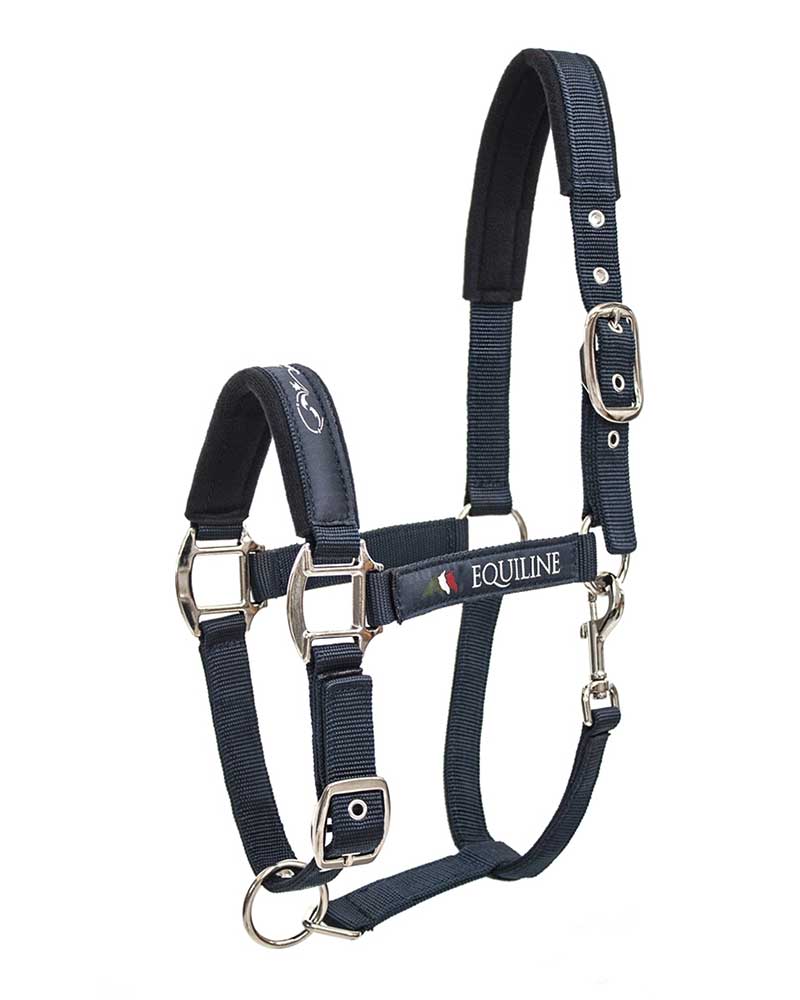 Licol d'écurie bleu marine pour cheval Timmy - Equiline