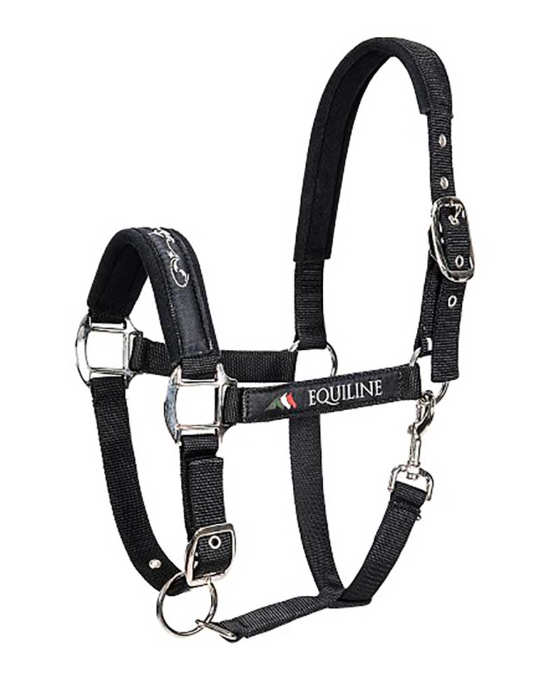 Licol d'écurie noir pour cheval Timmy - Equiline