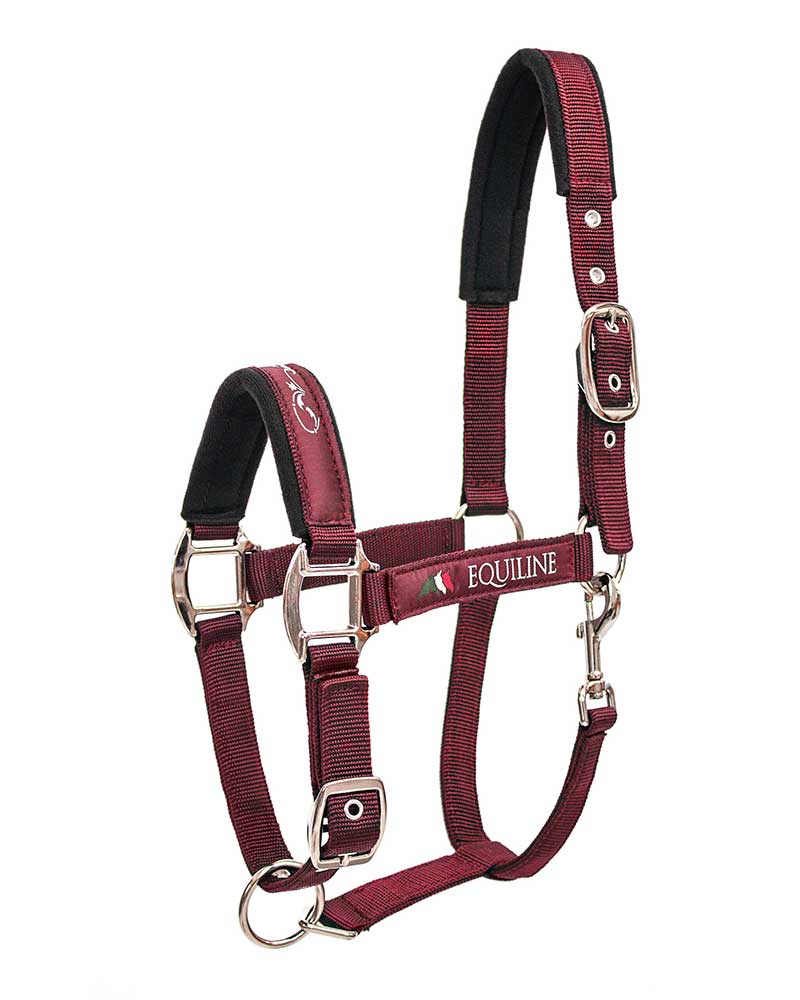 Licol d'écurie bordeaux pour cheval Timmy - Equiline