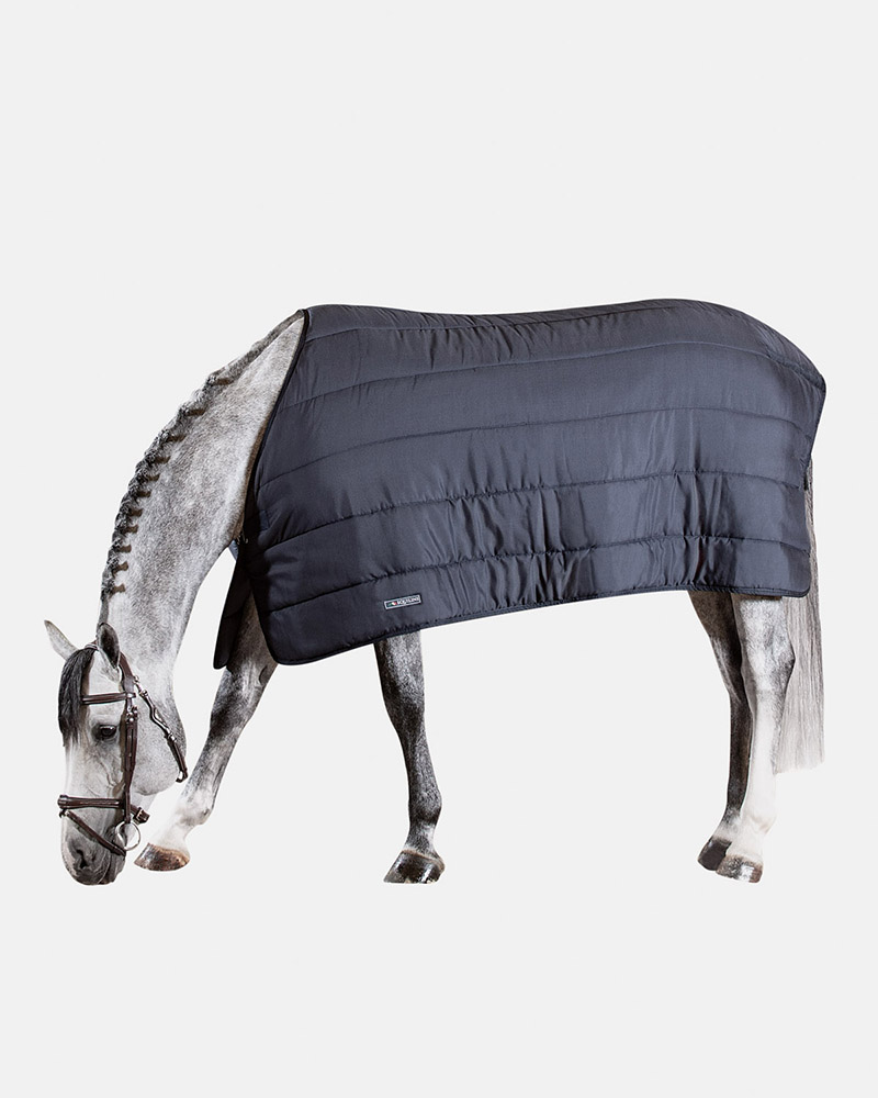 Navy rug - Equiline