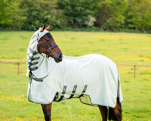 Anti-fly blanket with collar and very light green hood for horses by RAMBO HOODY