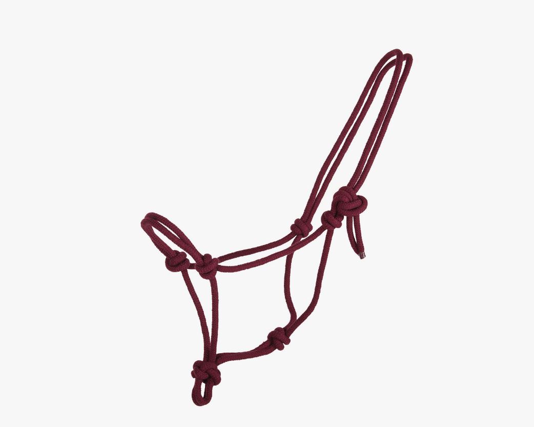 Licol d'écurie bordeaux en corde pour cheval - QHP