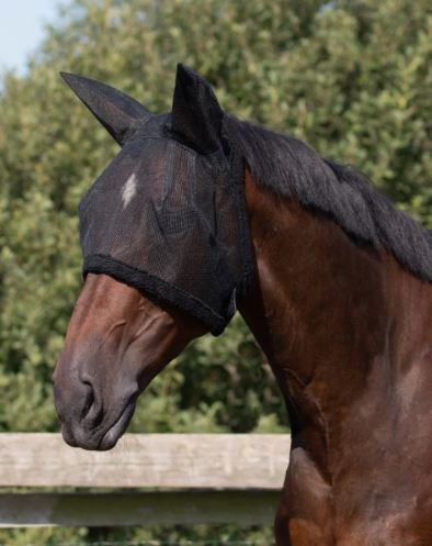 Black mesh fly mask with hearing protection for horses and ponies - QHP
