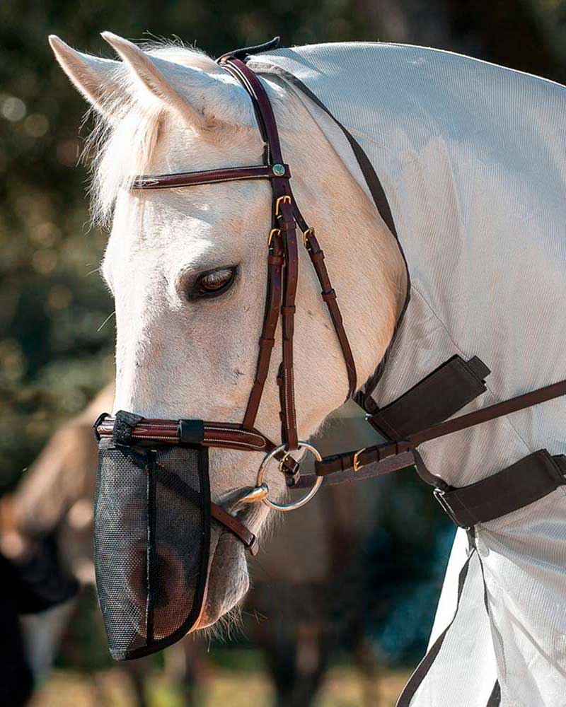 Fly Nose Protector for Pony - QHP