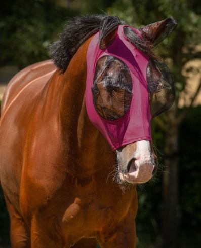 Pink Breathable Lycra Anti Fly Mask with Mesh Eyes and Earmuffs and Zipper - QHP