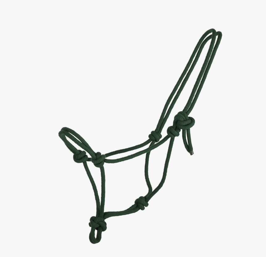 Licol d'écurie vert en corde pour cheval - QHP