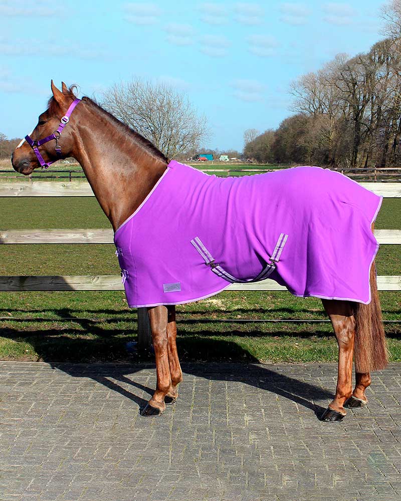 Couverture polaire séchante avec sangles croisées violet pour poney - QHP