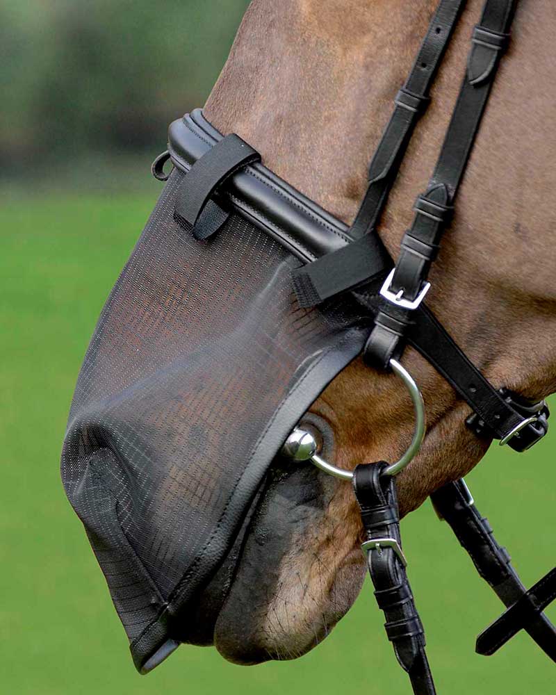 Protection anti-mouches pour le nez pour cheval - Waldhausen