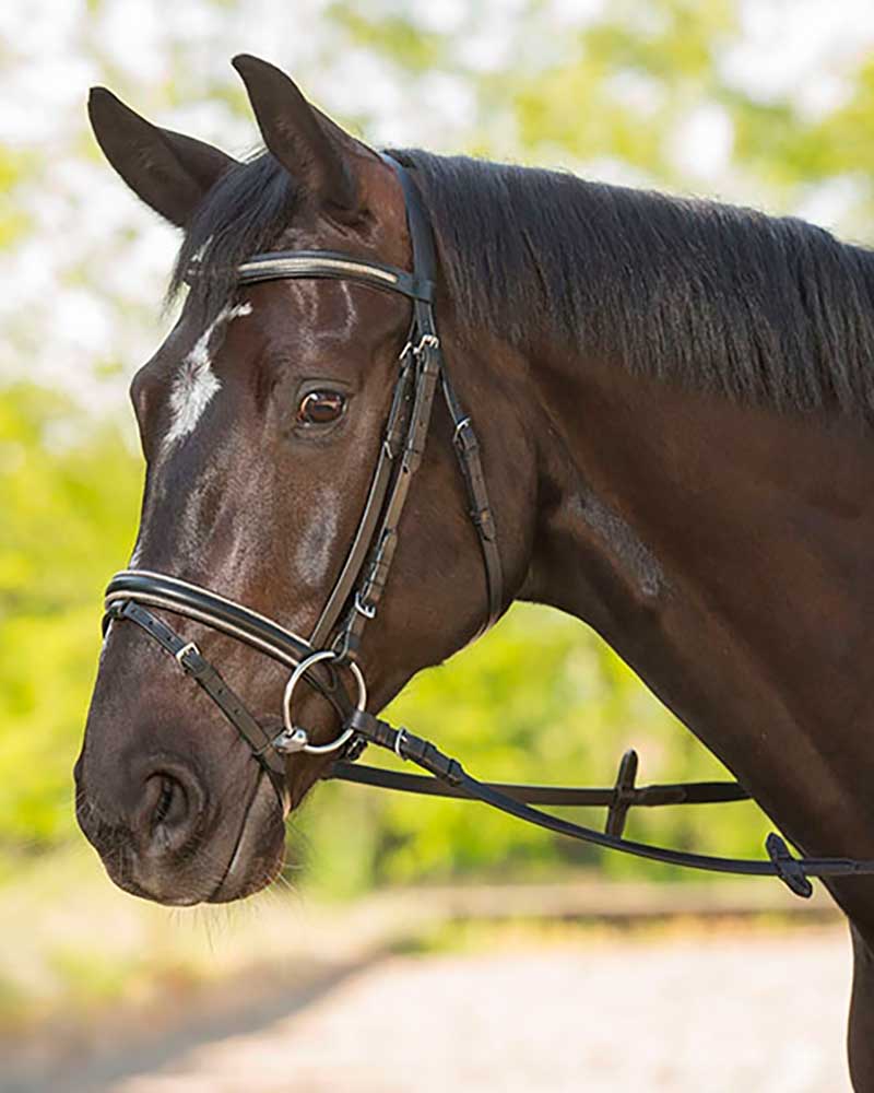 Bridas de cuero negro con frontalera y muserola con brillantina gris y riendas para caballo Delicate - STAR