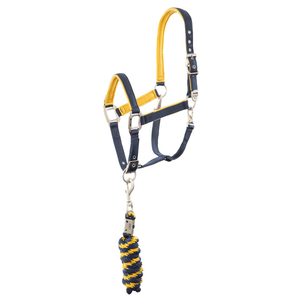 Licol d'écurie avec longe bleu marine (dark navy) et jaune pour cheval et poney - Anky