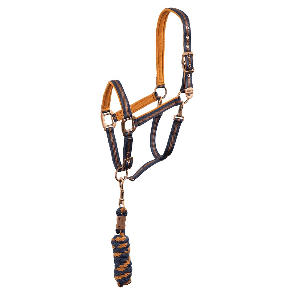 Licol d'écurie avec longe bleu marine (dark navy) et orange avec boucles cuivrées pour cheval et poney - Anky