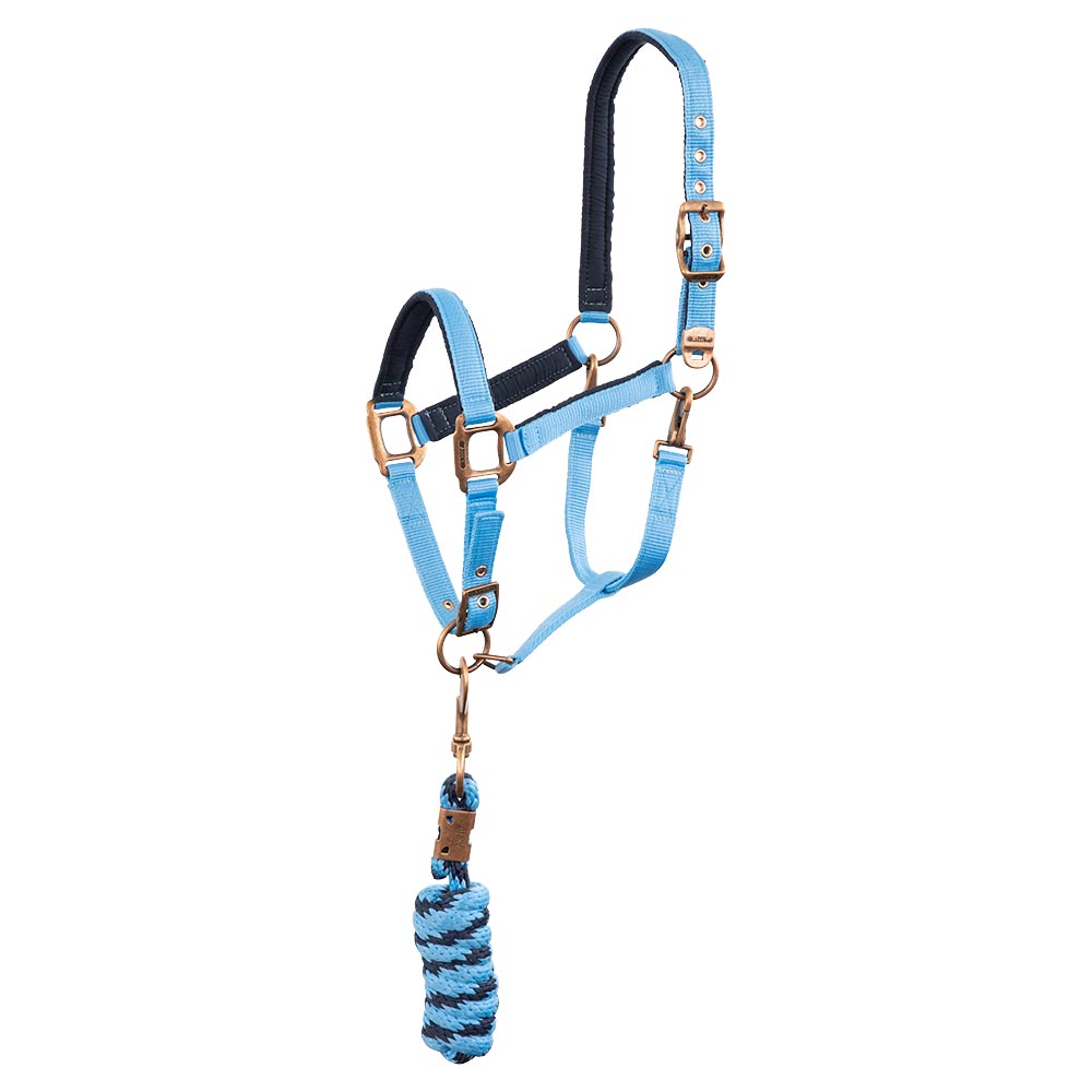 Licol d'écurie avec longe bleu (bonnie blue) et bleu marine pour cheval et poney - Anky