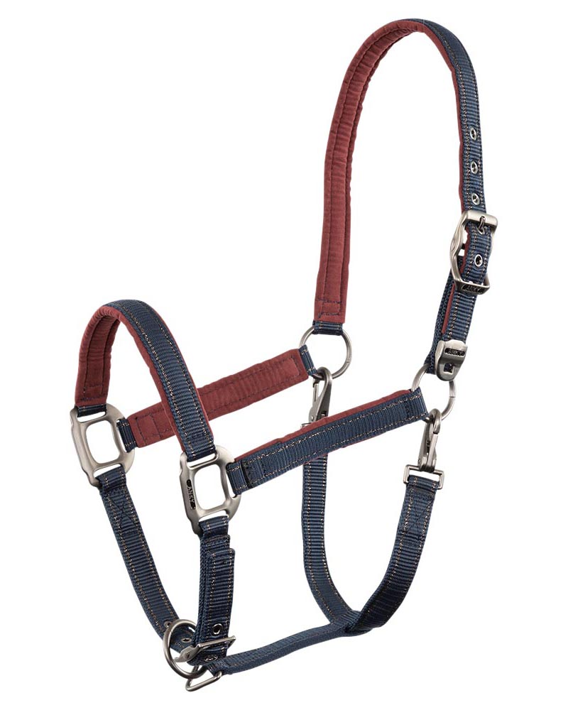 Navy blue and burgundy bridle for horses - Anky