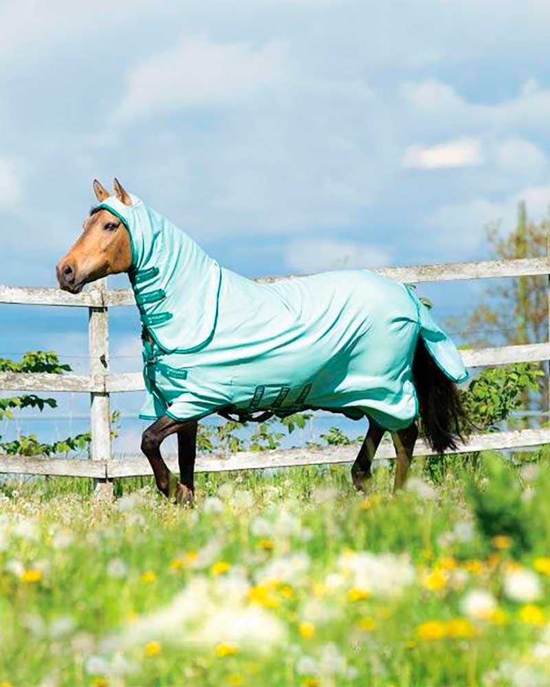 Manta antimoscas con cuello y capucha verde muy claro para caballo - Rambo