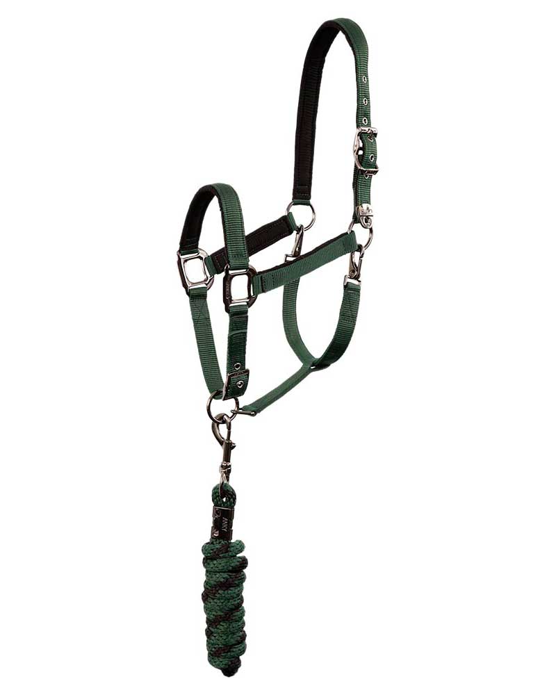 Licol d'écurie avec longe vert foncé et noir (green gables) pour cheval et poney - Anky