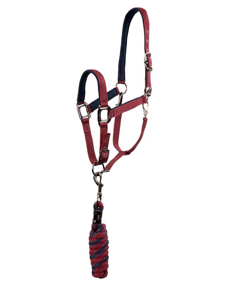 Licol d'écurie avec longe bleu marine et bordeaux (tawny port) pour cheval et poney - Anky