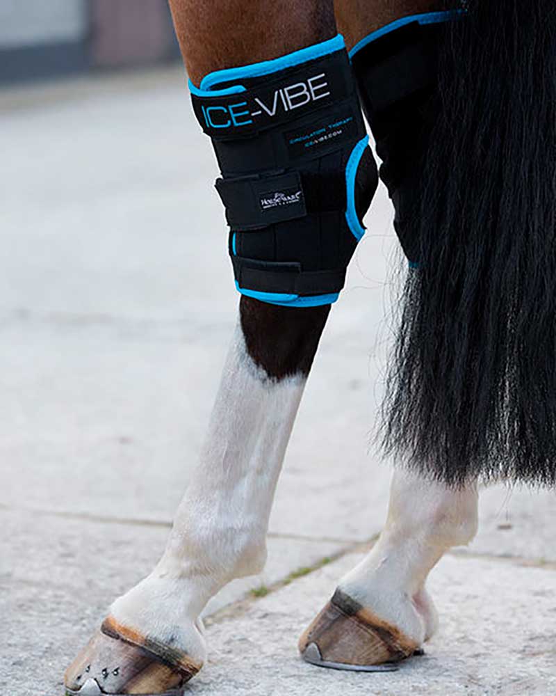 Lot de 2 protections froides de repos de corvejón pour cheval - Ice-Vibe - Horseware