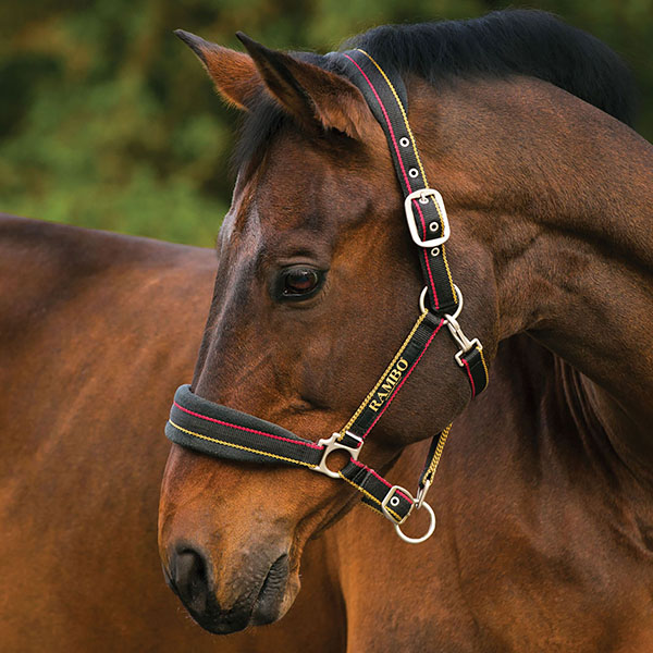 Adjustable black stable halter with red and yellow stripes and fleece noseband for horse and pony - Rambo