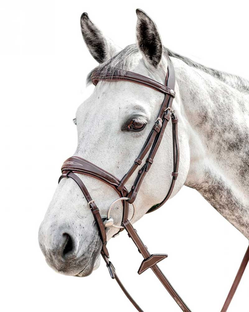 Bride de travail marron foncé avec muserolle large et pespuntes pour cheval - Prestige
