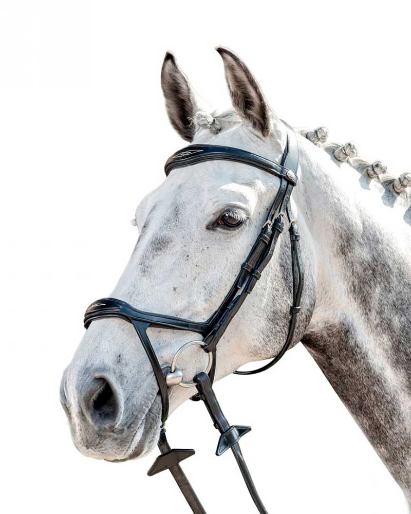 Bride de travail noire avec muserolle large et pespuntes pour cheval E-143 - Prestige