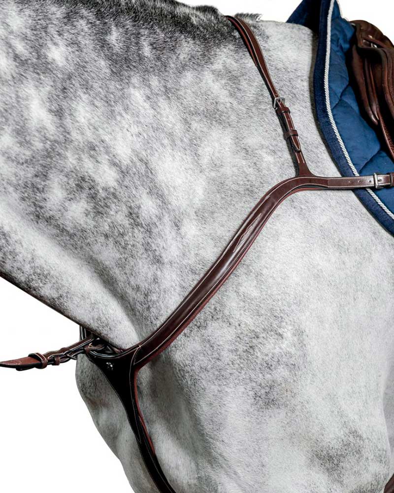 Dark brown long bridge jumping breastplate with martingale for horse D35 - Prestige