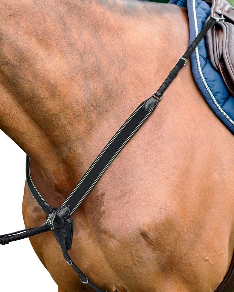 Bricole de saut noir avec Martingales pour poney D41 EVO - Prestige