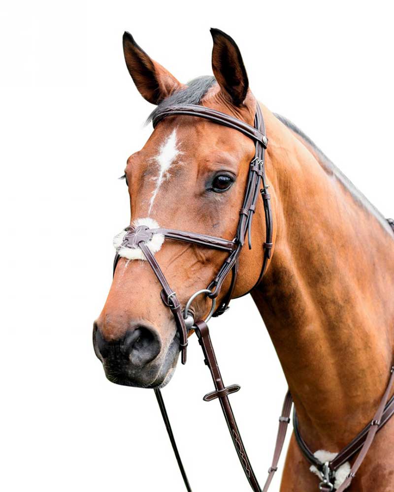Bride de travail marron foncé avec muserolle mejicana pour cheval E-80 - Prestige