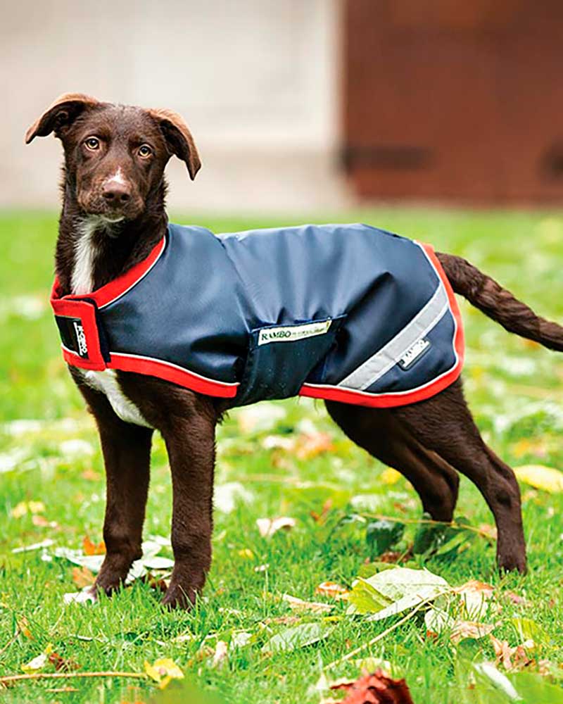 Manteau pour chien bleu marine imperméable et réfléchissant - Rambo