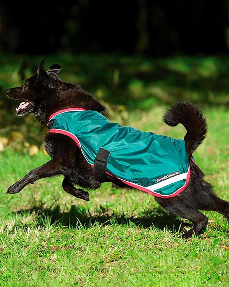 Green Waterproof and Reflective Dog Coat - Rambo