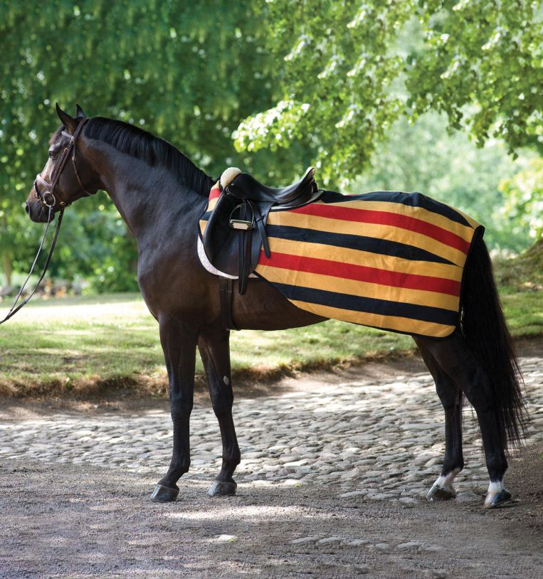 Yellow fleece quarter sheet for horse and pony with red and black stripes - Rambo