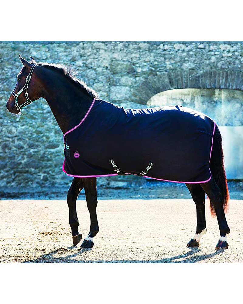 Black and purple stable rug (0g) for ponies - AMIGO