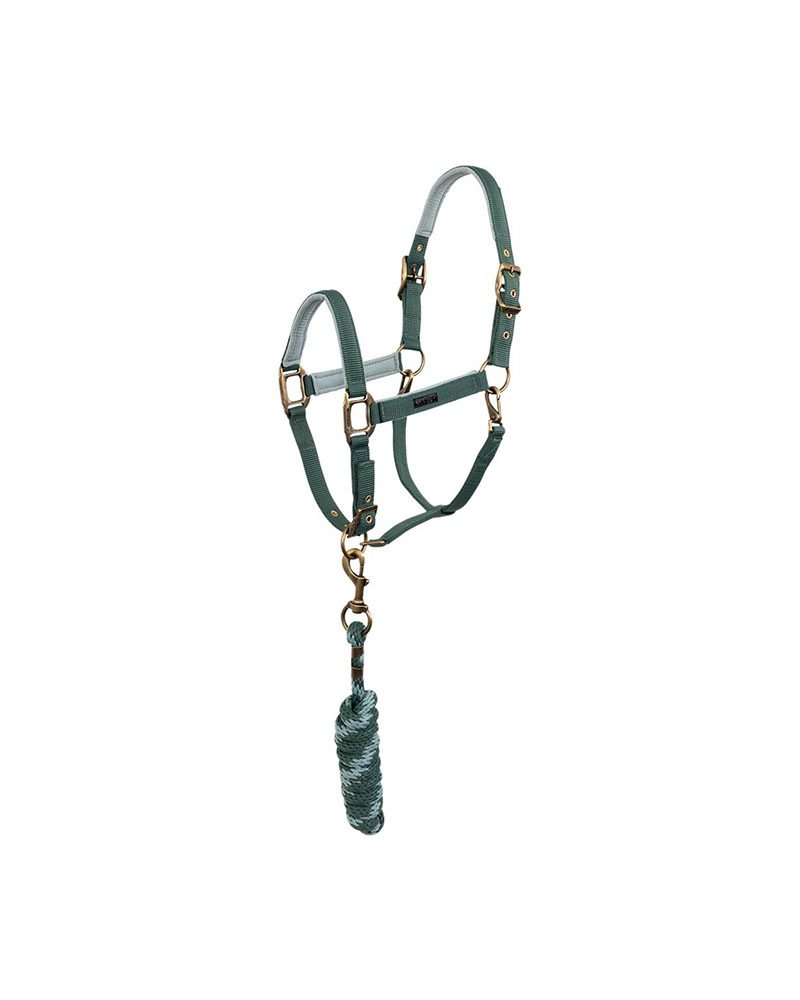 Licol d'écurie avec longe vert (Silver Pine) pour cheval - Anky