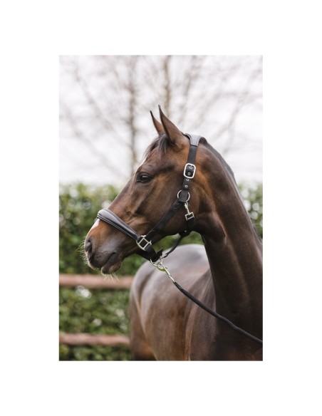 Nylon Stall Halter with Leather and Black Lead - Anky