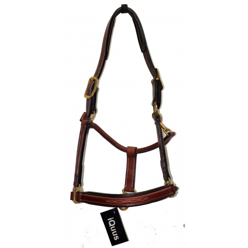 Licol d'écurie en cuir graissé pour cheval - iquus