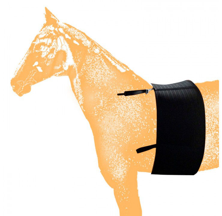 Bande de protection contre le frottement des éperons (ceinture) fabriquée en néoprène pour cheval - Zaldi
