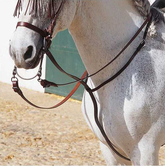 Martingales/Gamarra noire en cuir pour cheval - Marjoman