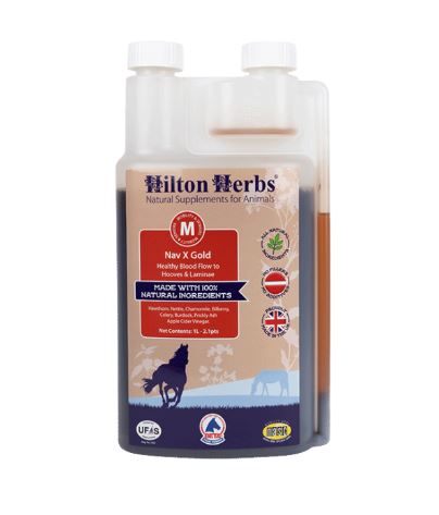 Complément alimentaire pour la circulación saludable (1L) Navx Gold - Hilton Herbs