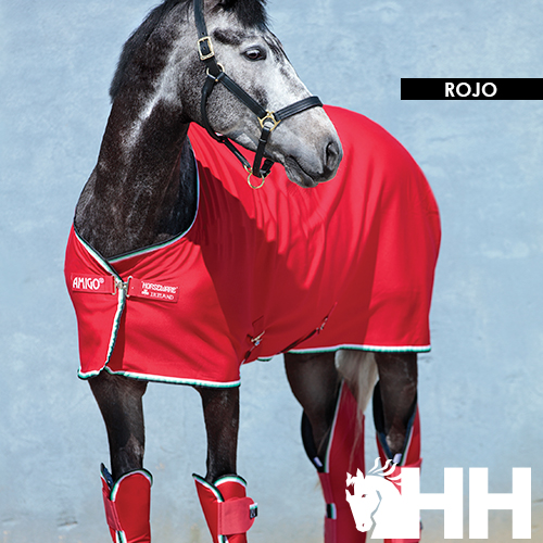 Chemise légère rouge pour cheval - AMIGO