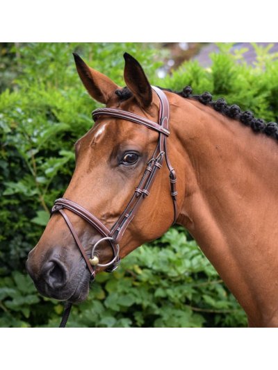 Bride en cuir noisette avec rêne en caoutchouc pour cheval - Paris - Jumpin