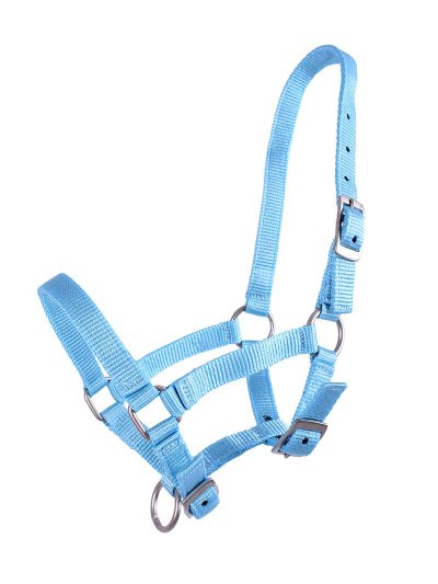 Cabezada de cuadra azul claro para potro - QHP