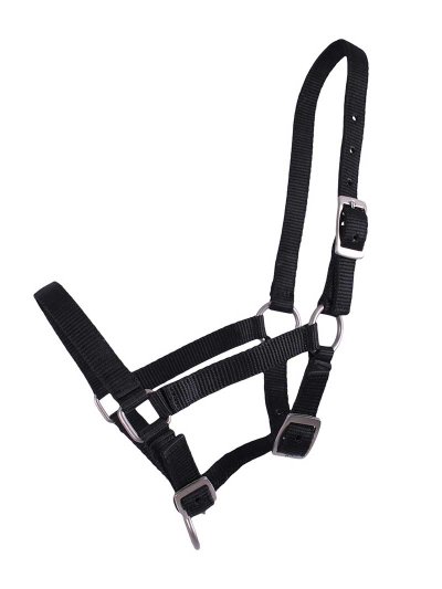 Cabezada de cuadra negro para potro - QHP