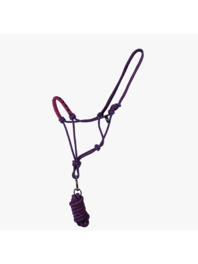Licol d'écurie violet en corde et avec longe pour cheval - QHP