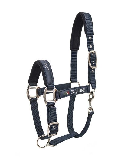Licol d'écurie bleu marine pour cheval Timmy - Equiline