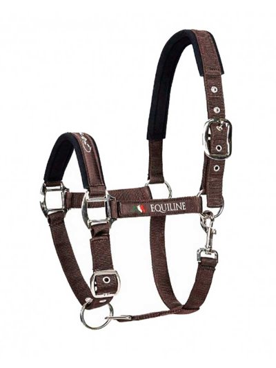 Licol d'écurie marron foncé pour cheval Timmy - Equiline