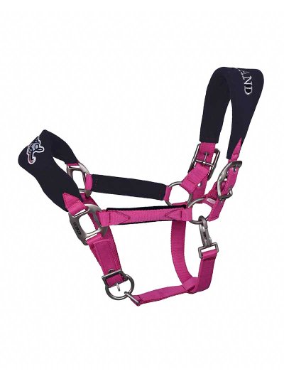 Licol d'écurie fuchsia et bleu marine avec sequins pour poney (C et D) Fugeret - Kingsland